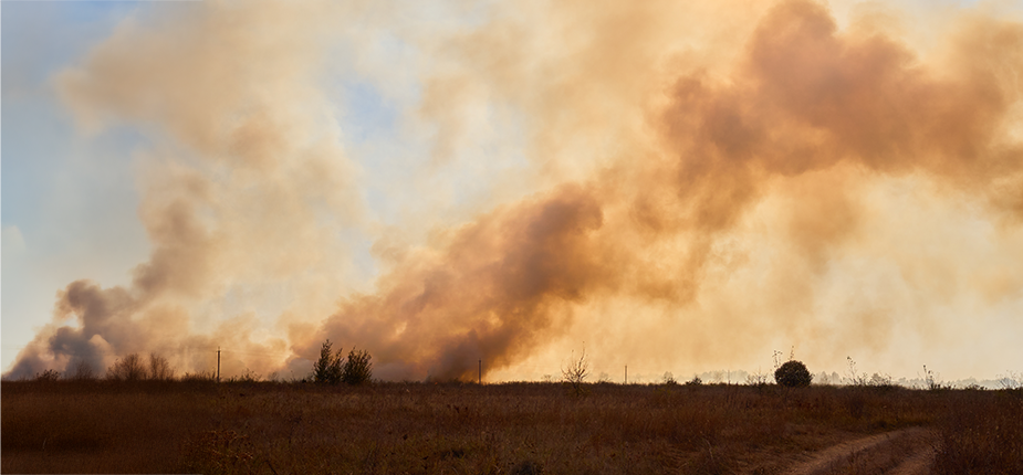Smoke rises from a Michigan wildfire